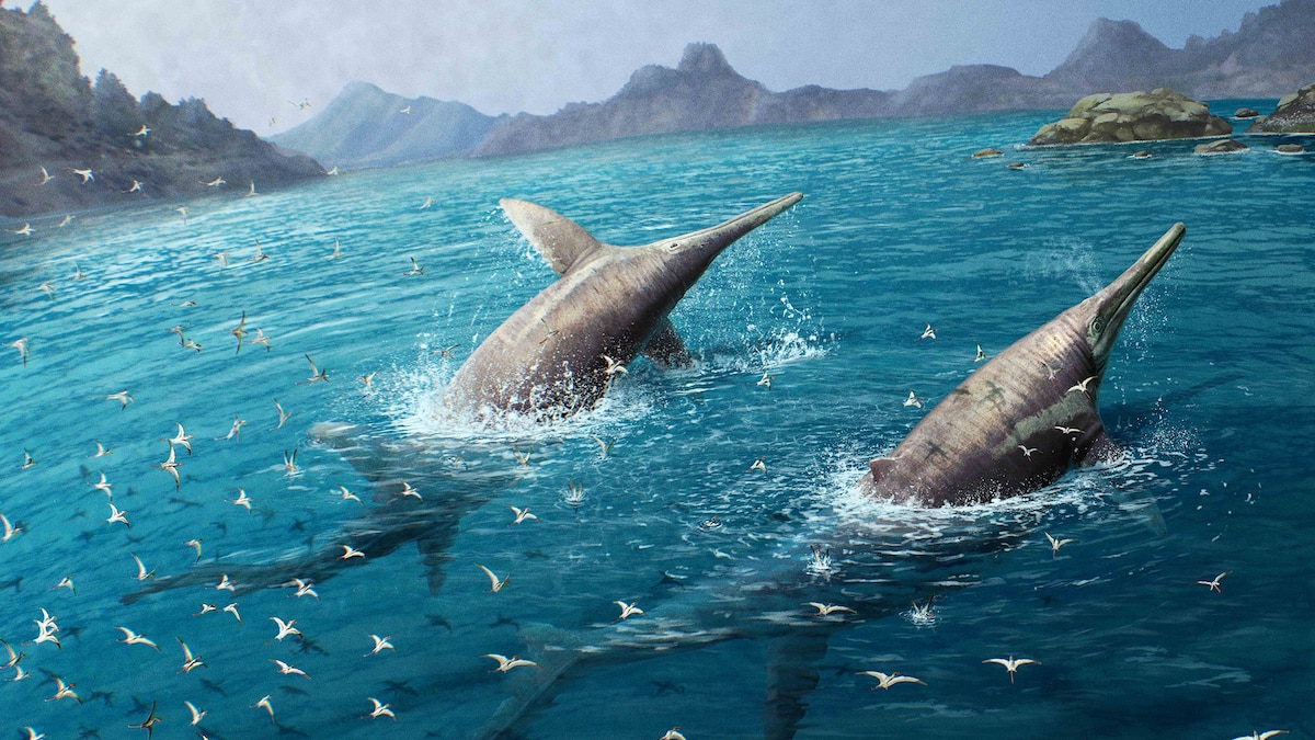 Ichthyotitan Severnensis: New 80-Foot Giant Rewrites Marine Reptile History